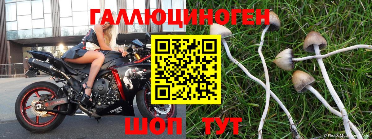 Псилоцибиновые грибы мухоморы Нижний Тагил
